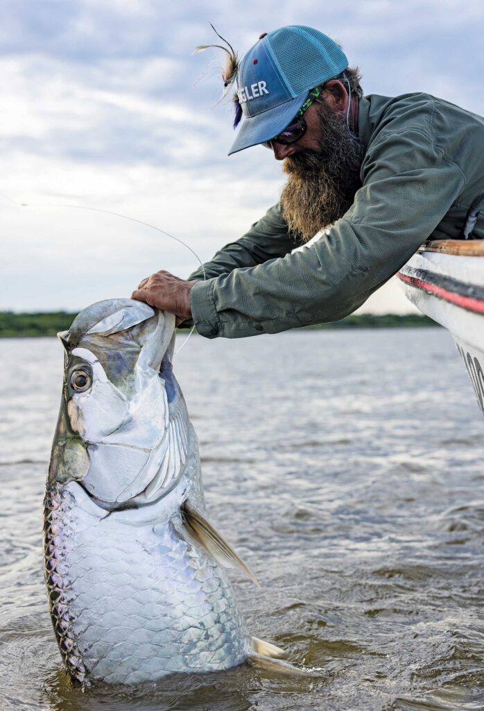 Large tarpon caught in Ascension Bay