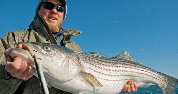 The 25 Best Striper Surf Lures of All Time, Field & Stream