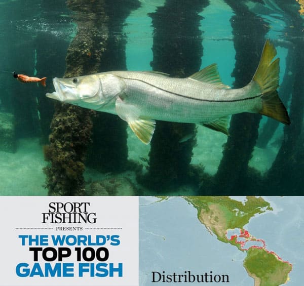 The World's Top 100 Saltwater Game Fish