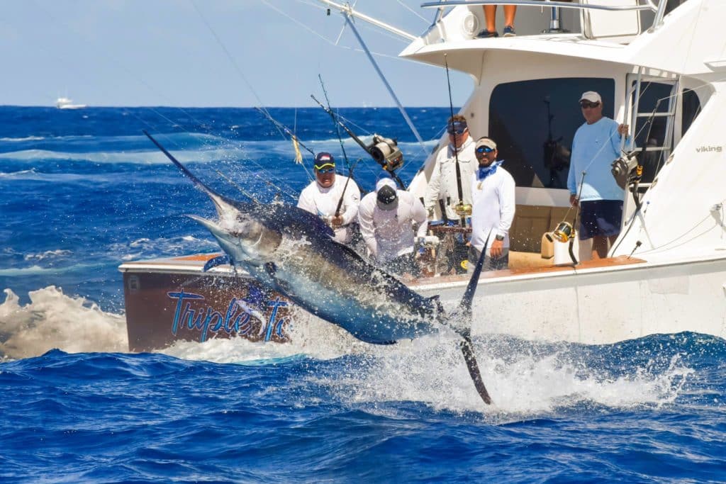 Club Nautico de San Juan International Billfish Tournament Team Entry