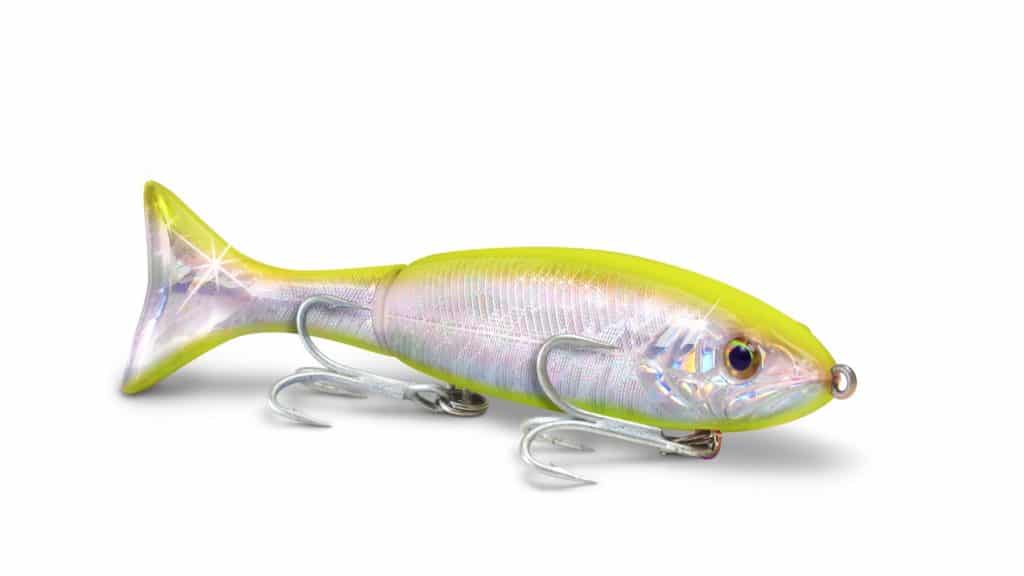 Fish with Surface & Sub Surface Lures