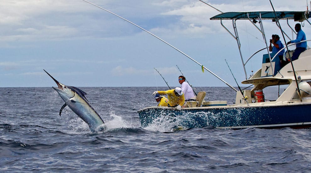 International Game Fish Association Annual Auction 2017 - Fish Piñas Bay from Tropic Star Lodge