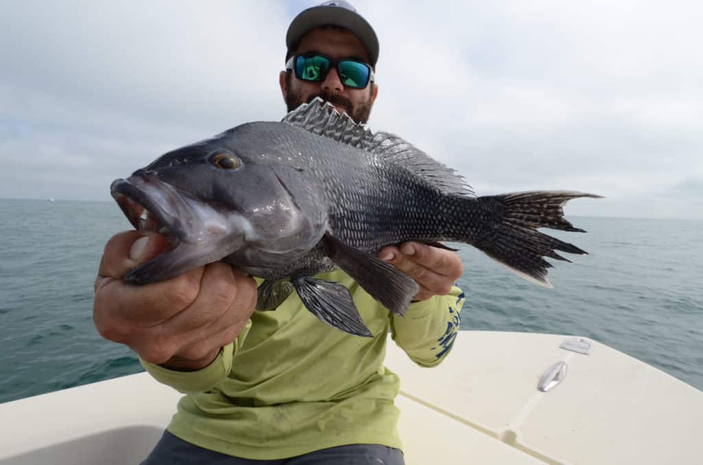 Catching Deep Schooling Bass - Offshore Fishing Tips 