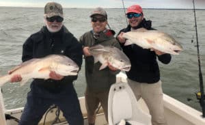 Three large redfish on a boat