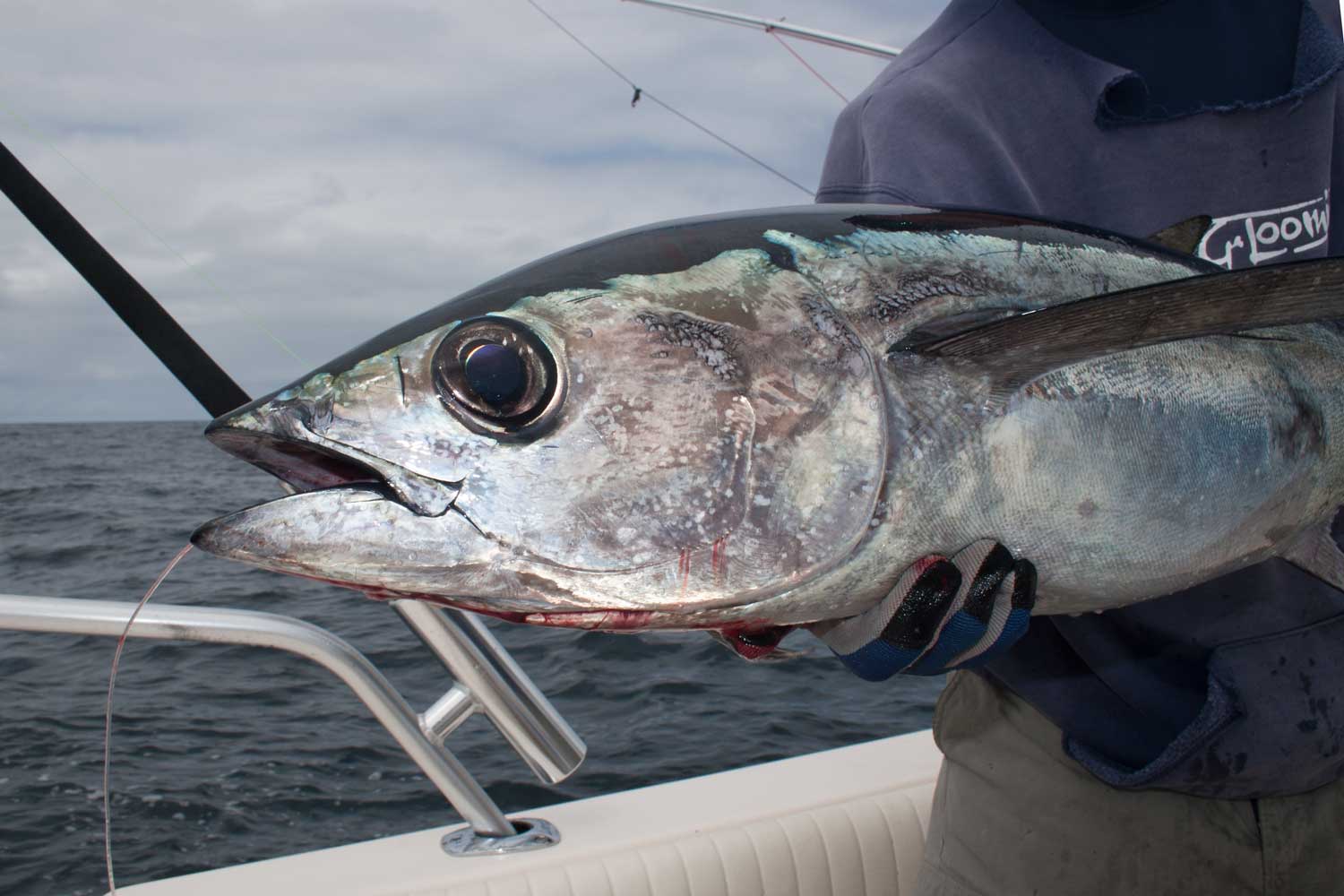 Fishing Remote Northern Vancouver Island | Sport Fishing Mag