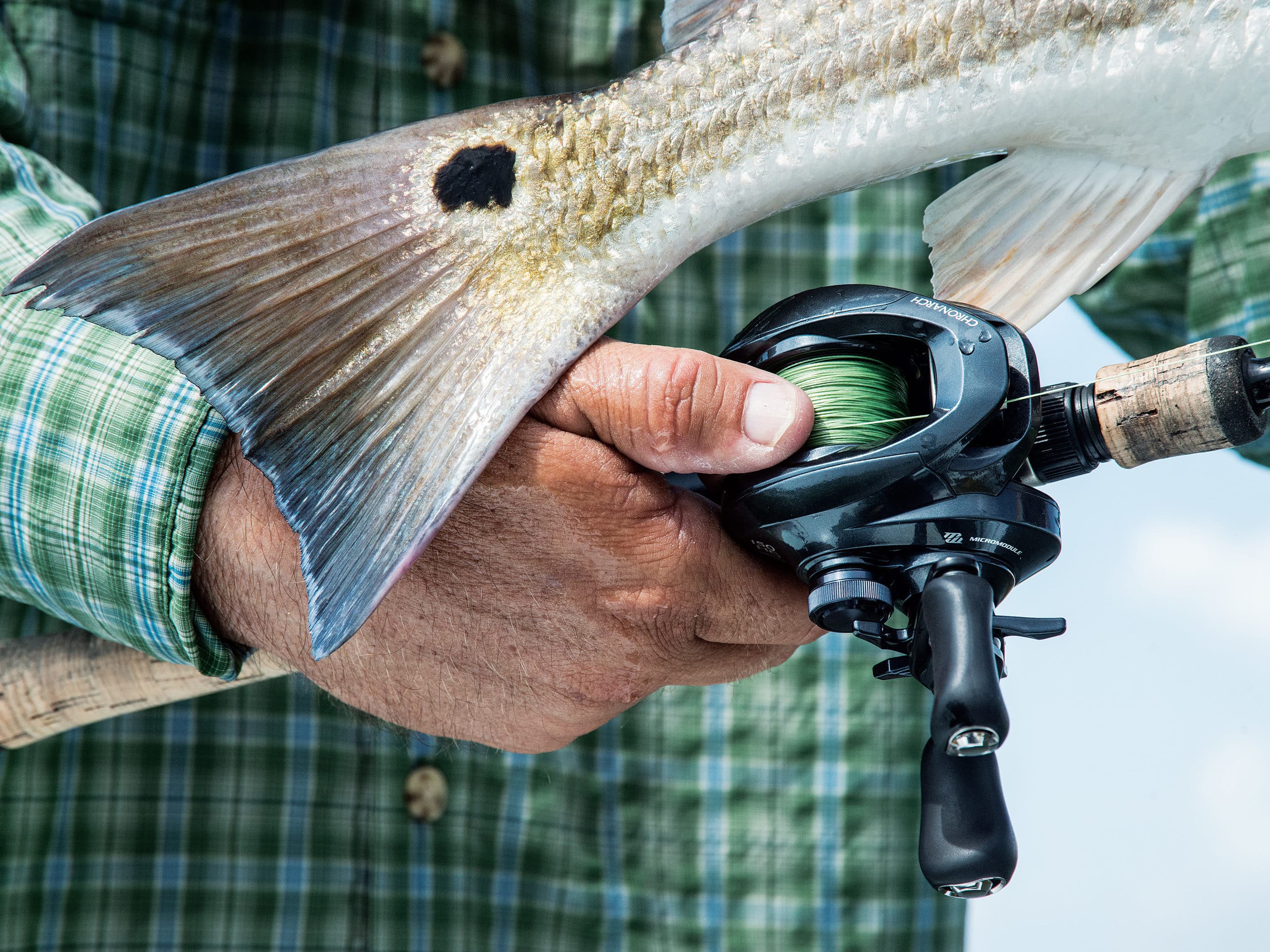 The Low-Down on Low Profile Reels - In-Fisherman