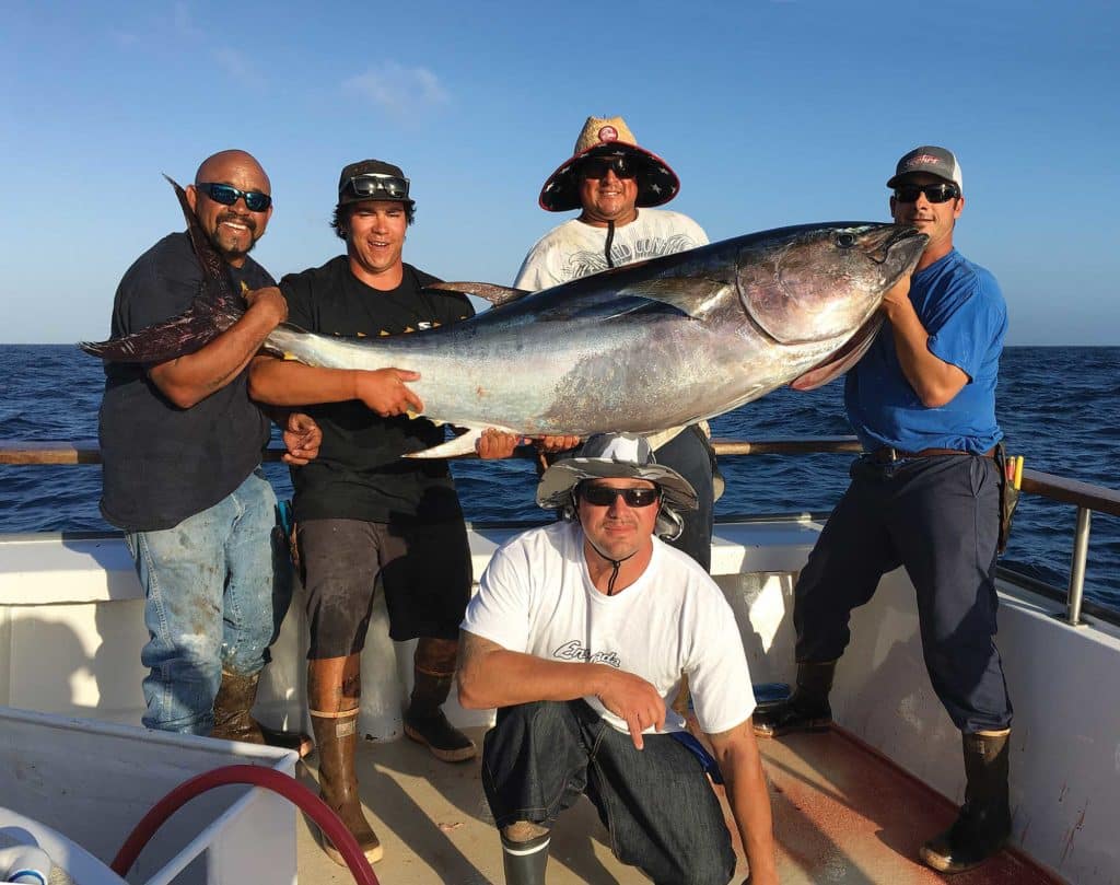 Big Bluefin Tuna Fishing in Southern California