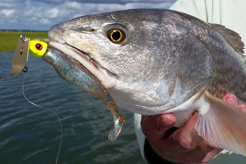 What Is The Best Artificial Lure For Inshore Fishing During The Fall? 