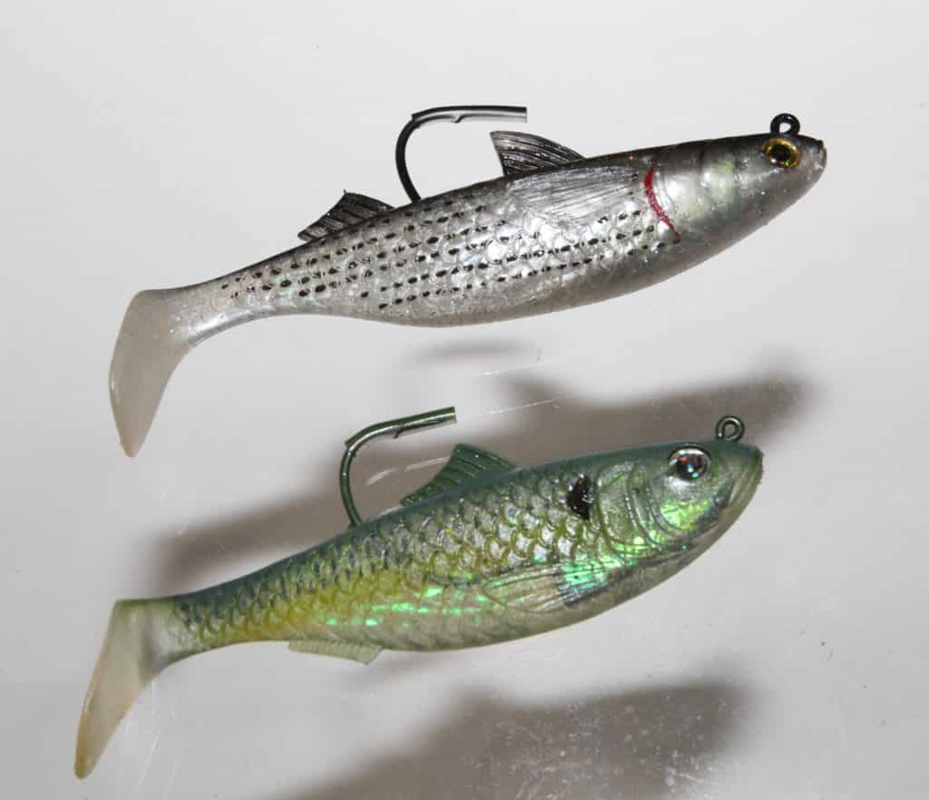 Baits are cloudy/white - Soft Plastics -  - Tackle  Building Forums