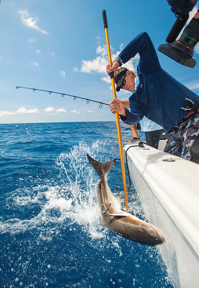 First Coast anglers can enjoy catching cold-weather cobia this time of year