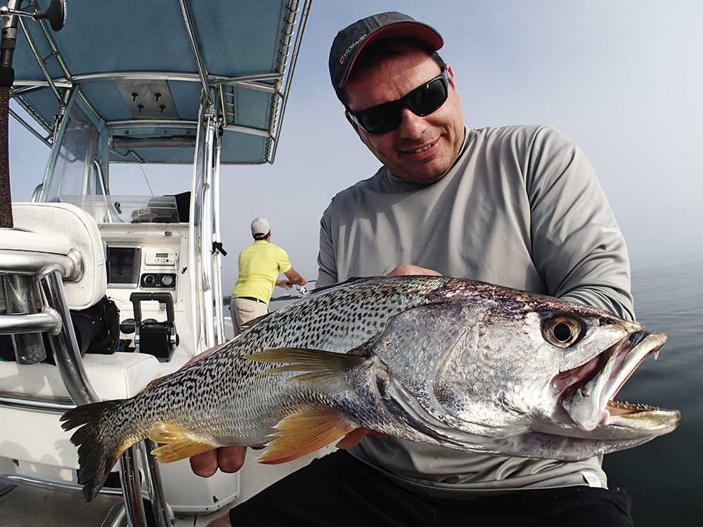 Tips for Targeting Weakfish