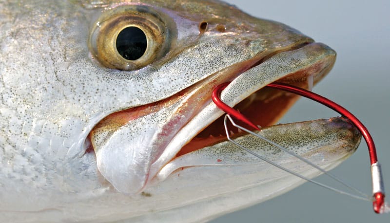 High Carbon Steel Fishing sea bass hook Saltwater hooks Sea fishing Big  mouth fish