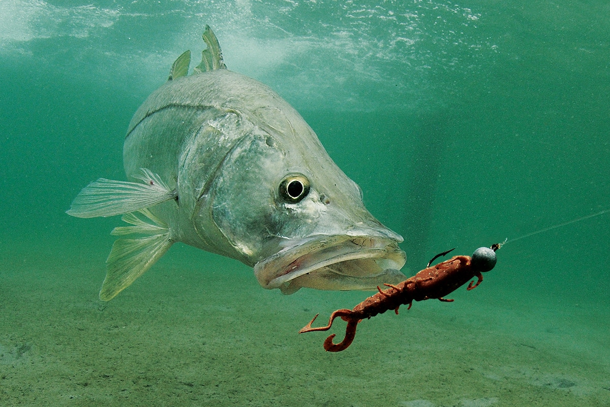 New Fresh Water Soft Lure Worm Bass Soft Plastic Fishing Bait