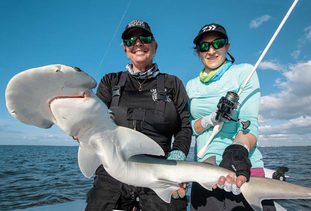 What You Need To Know About Shark Fishing: Fly Fishing Editi - Florida  Sportsman