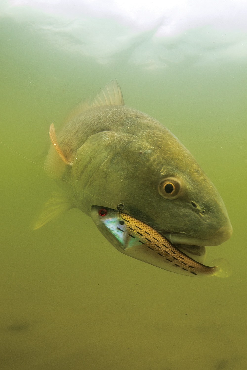 4 Pcs Swimbait Lures Freshwater Fishing Swimbaits Saltwater Kit Metal 