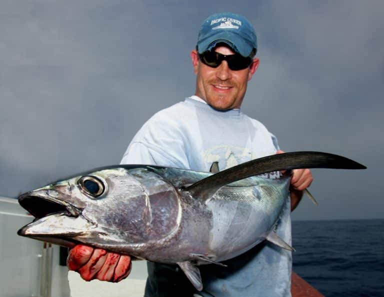 Kite Trolling for Pacific Bluefin Tuna