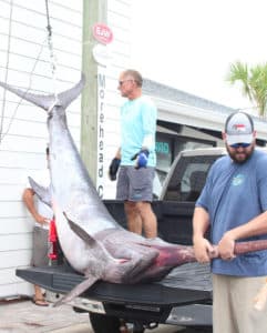 A 2.5-Hour Battle With a 500-Pound, State-Record Swordfish | Sport ...