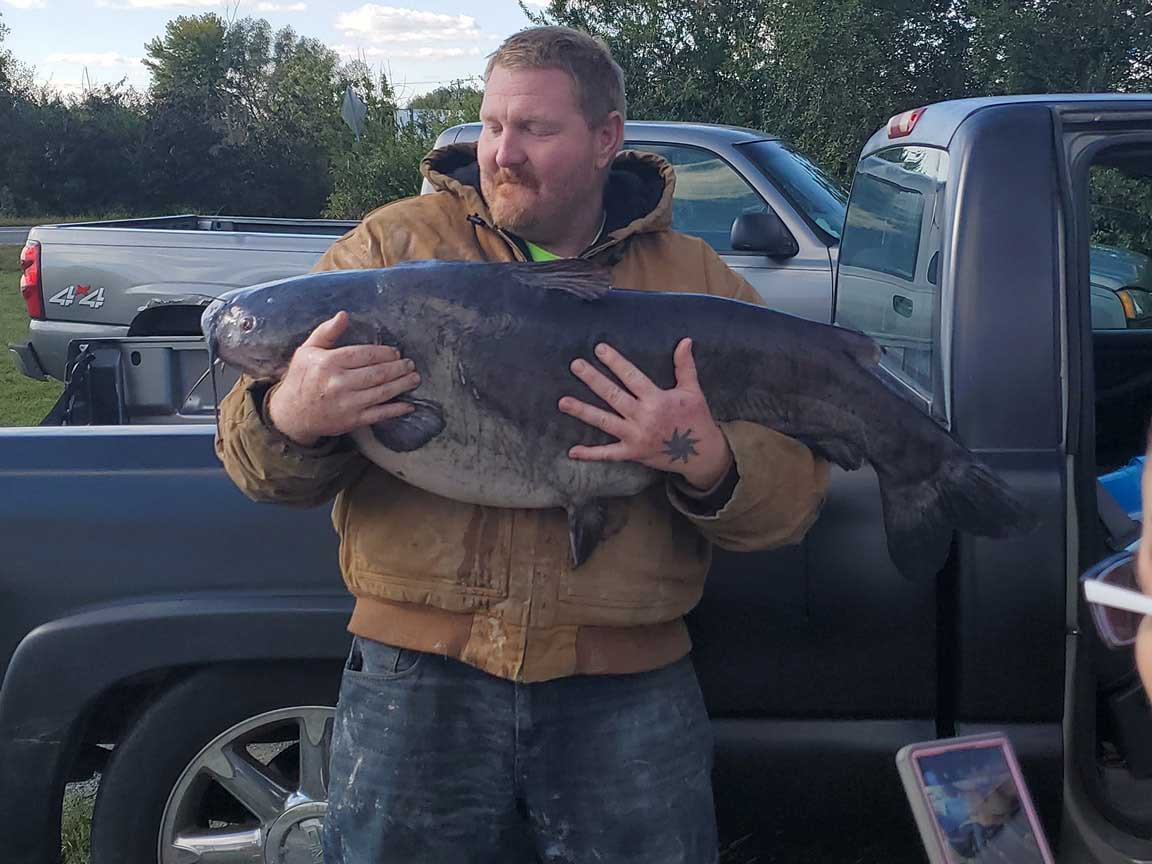 Latest Big Blue Catfish Catch Gives Scales a Workout for Yet Another New  State Record - State of Delaware News