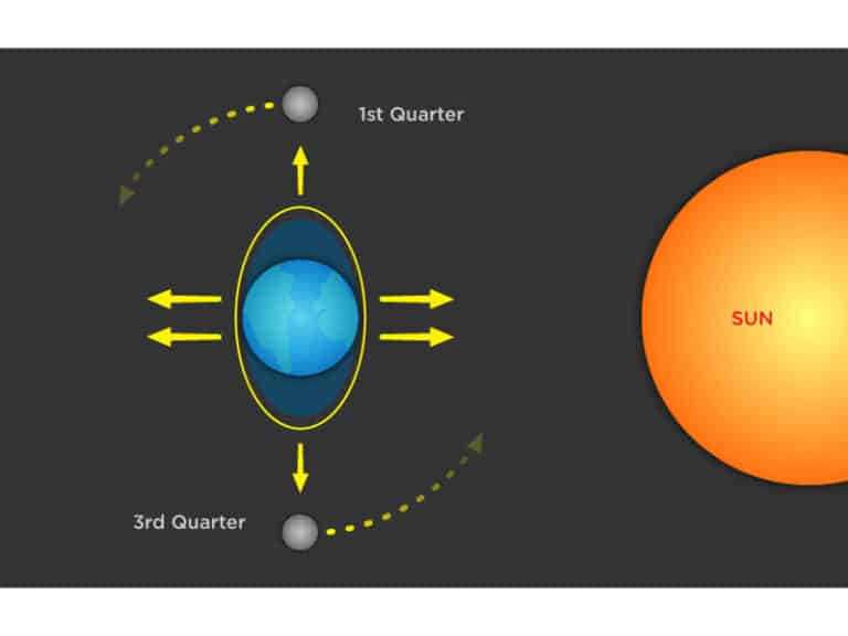 How Do Tides Work? | Sport Fishing Mag