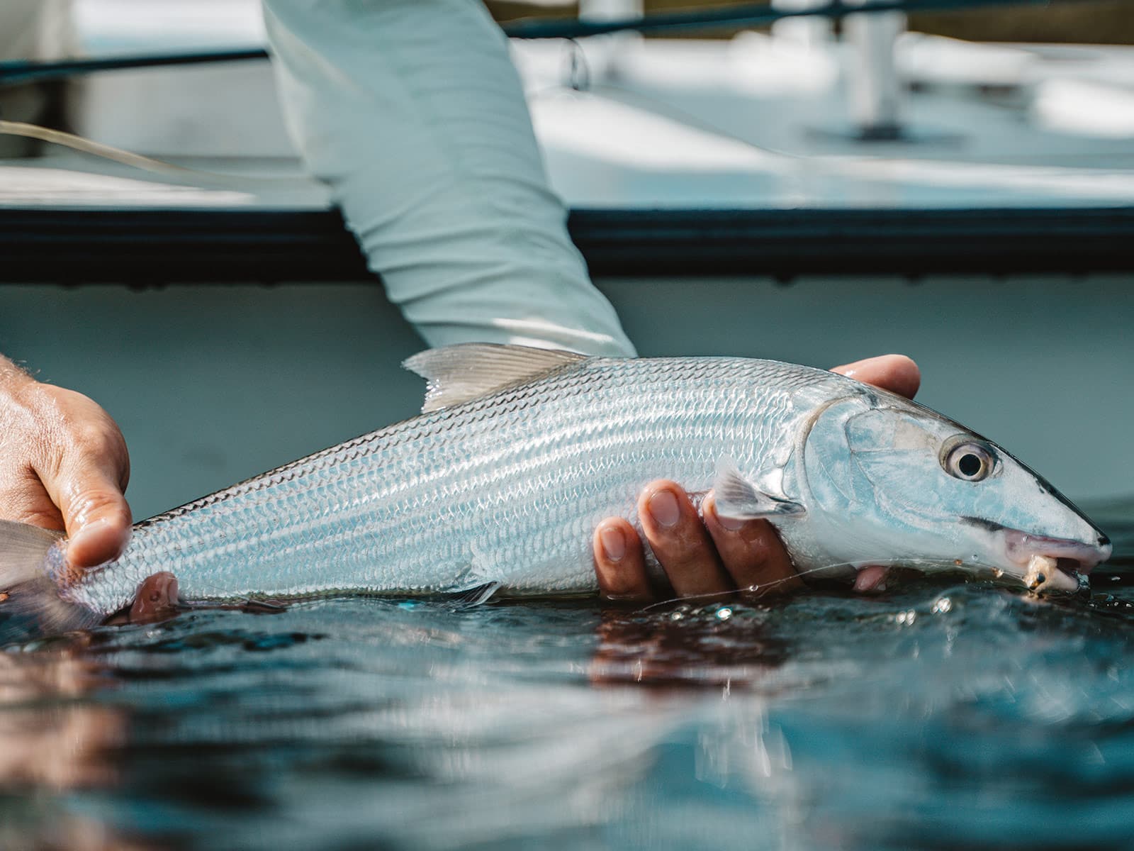 Fish Gripper – Fishing R Us