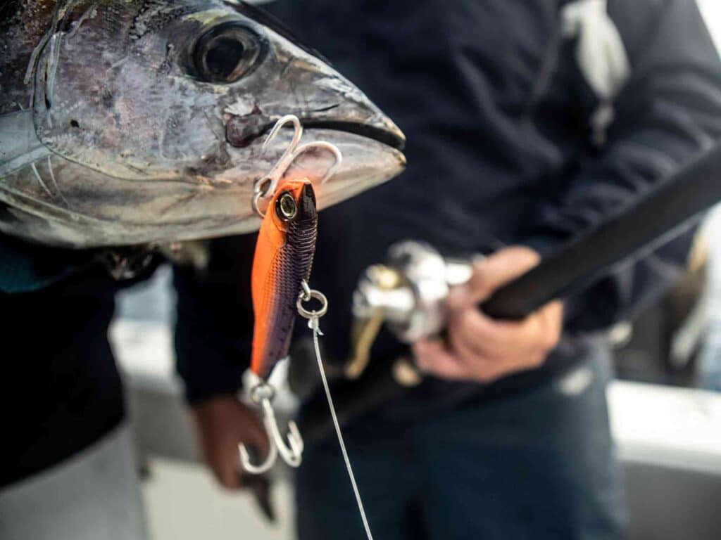 Vibes and Blade Lures for Fishing
