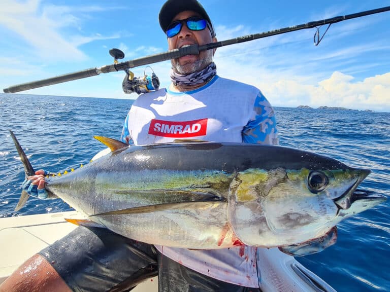 Yellowfin Tuna, How to Catch Yellowfin Tuna