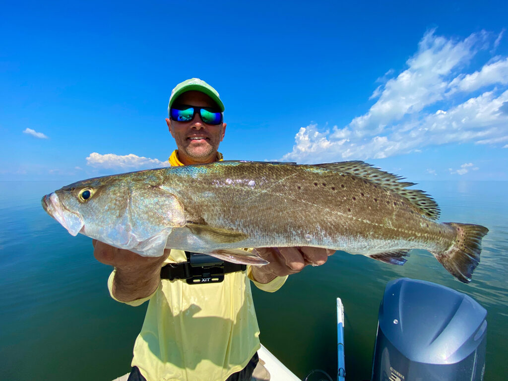 Speckled trout catch from the Chandeleur Islands
