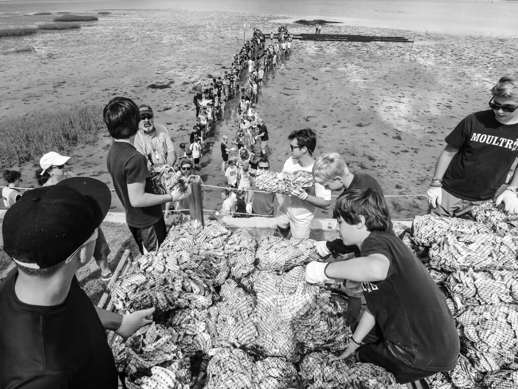 Volunteers building oyster beds