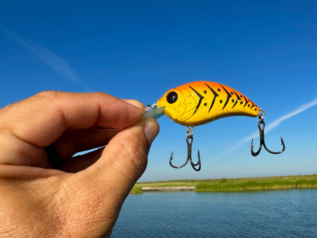 Crankbait for redfish