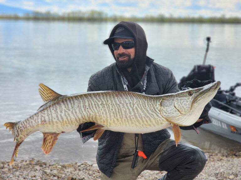 Tiger Muskie Breaks World Record Length | Sport Fishing Mag