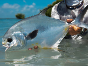 A Belize permit catch under 10 pounds