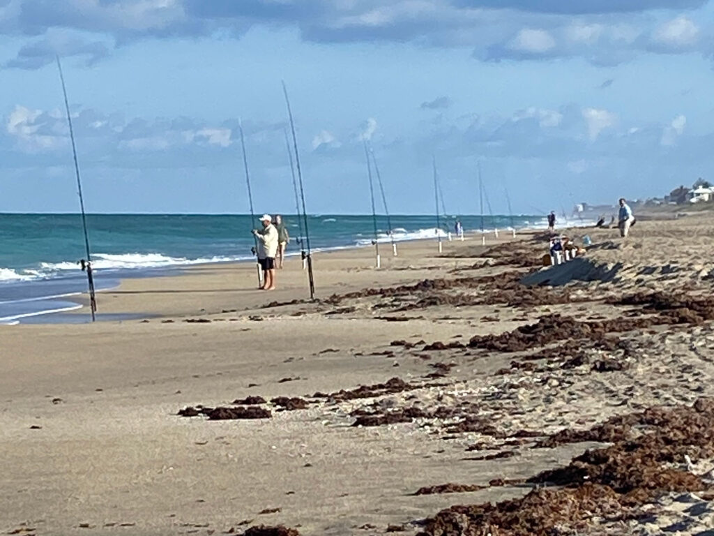 Surf fishing rods on the beach