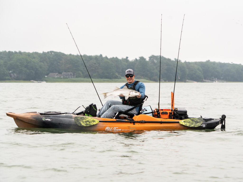 Striped bass caught in kayak