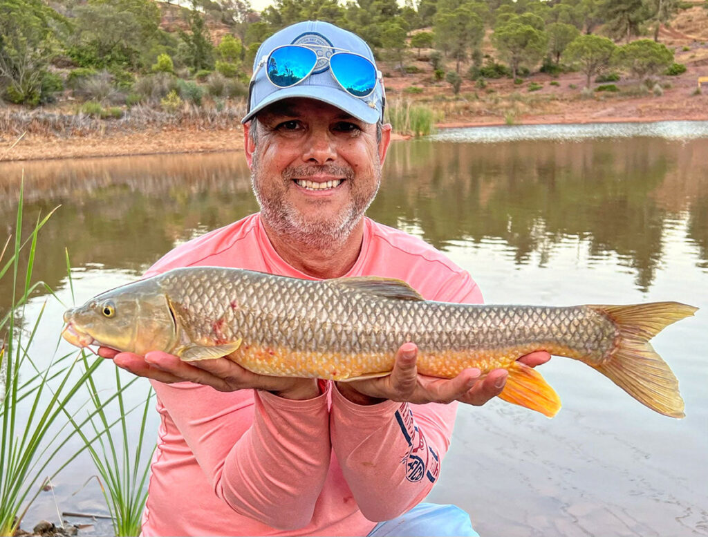 World record Andalusian barbel