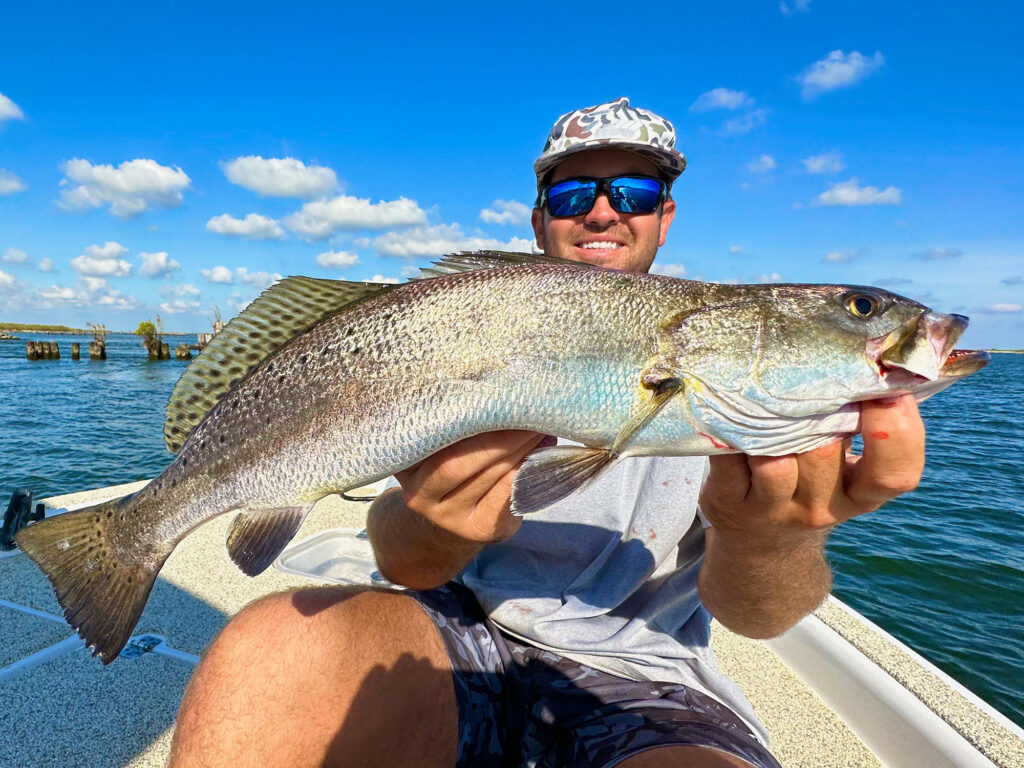 Speckled trout catch in louisiana