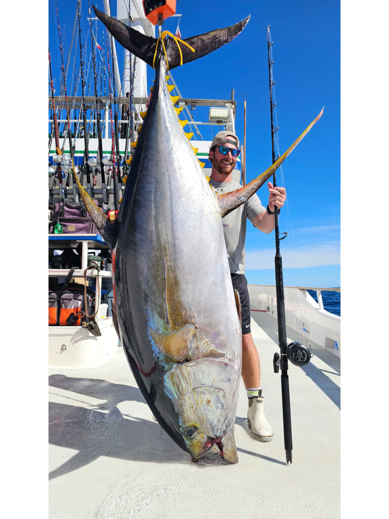 world record yellowfin tuna catch