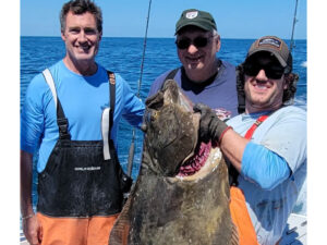 Halibut catch in the Atlantic