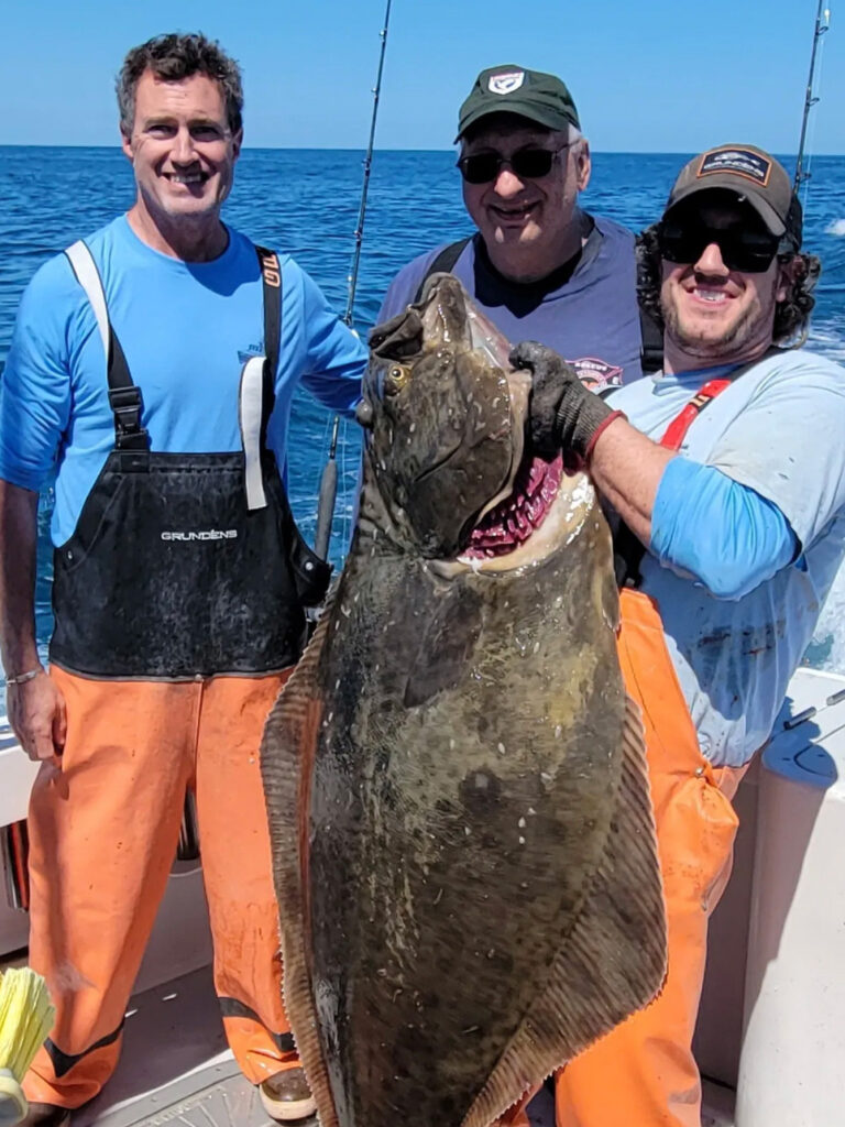 Atlantic Halibut