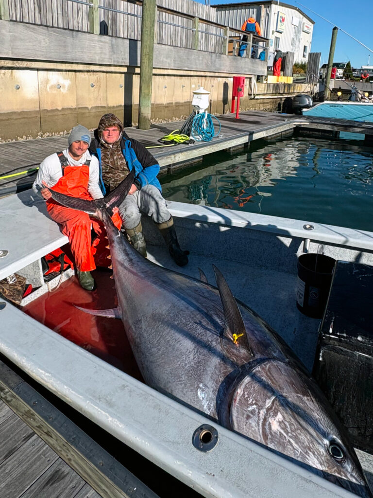 North Carolina bluefin tuna caught from a skiff