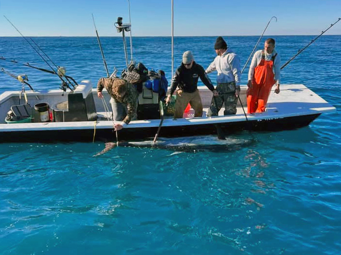 North Carolina bluefin caught in skiff