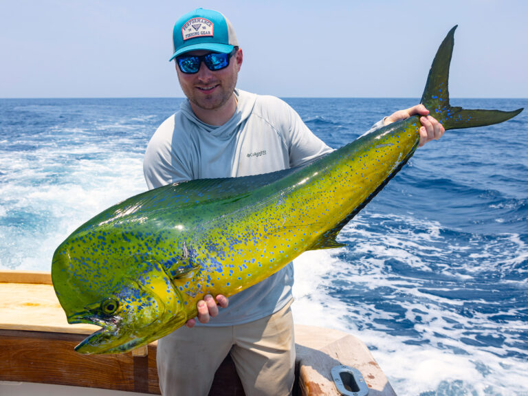 Mahi catch