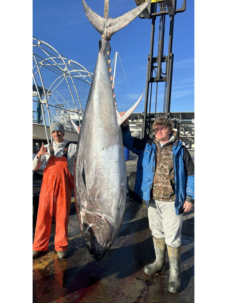 North Carolina bluefin tuna caught shallow water