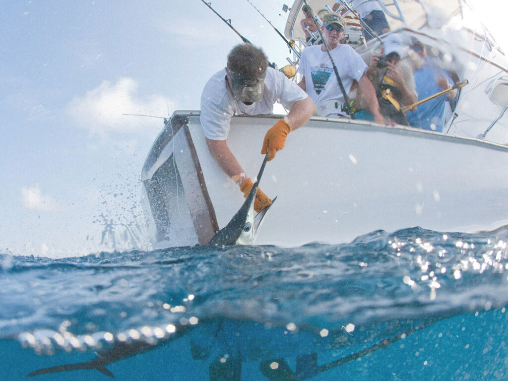 Fishing trip with friends off the Crystal Coast