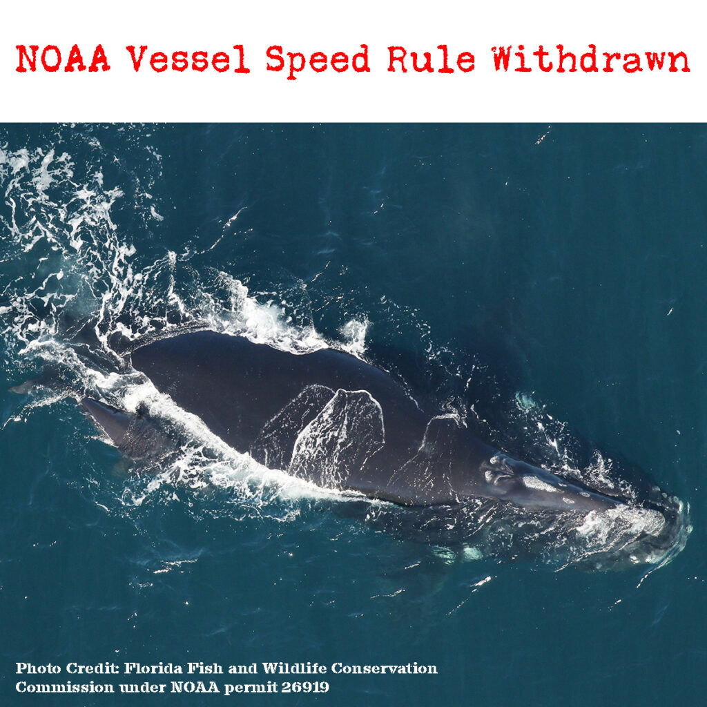 North Atlantic Right Whale Vessel Strike Reduction Rule