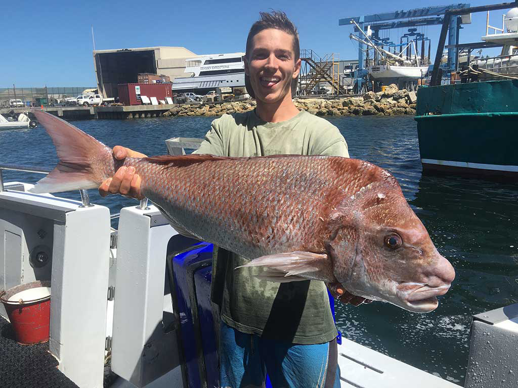 Record Cobia