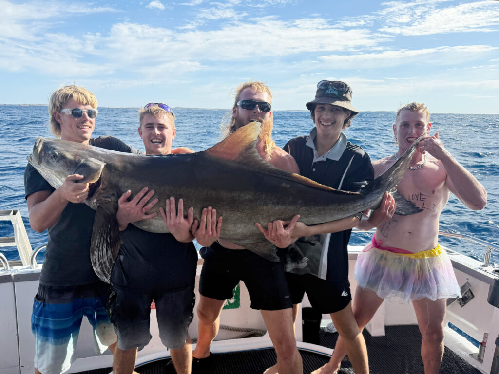 record cobia party