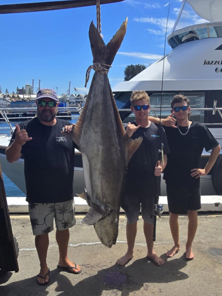 World record cobia