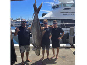 record cobia