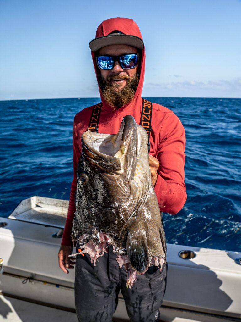 Head of a grouper left after eaten by shark