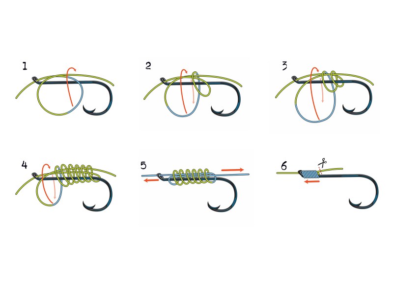 Snell illustration
